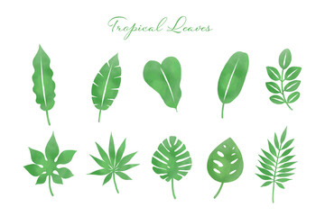 Naklejka premium Tropical Leaf Illustration Set – Vivid Green (Transparent PNG)