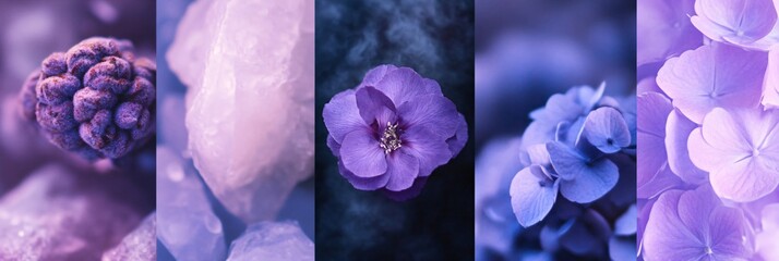 Purple aesthetic collage featuring lavender flowers, textured ice and purple abstract design. Color concept nature art.