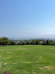 green park with blue sky