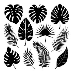 Tropical leaves vector illustration, monstera and palm leaf silhouettes for summer design and decoration use