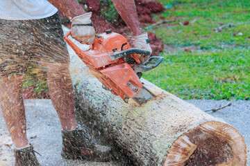 Worker is actively chopping fallen log with chainsaw in residential yard after tornado