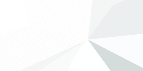 grey light abstract white line background modern design Vector illustration
