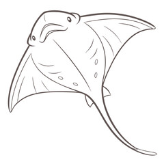 A line drawing of a stingray with a long thin tail