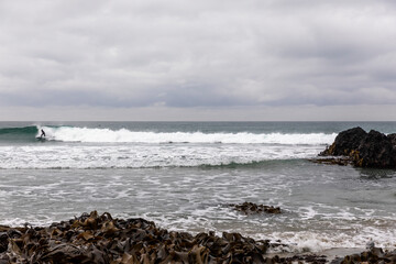 Pacific Ocean from Second Beach, Dunedin, New Zealand