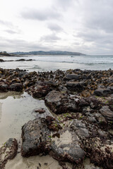 Pacific Ocean from Second Beach, Dunedin, New Zealand