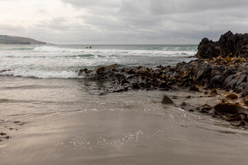 Pacific Ocean from Second Beach, Dunedin, New Zealand