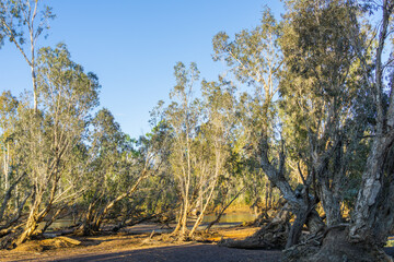 River landscape scene of Drysdale River and surrounding land and vegetation