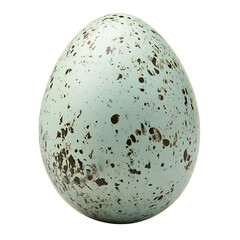 Single speckled robin egg close up on transparent background