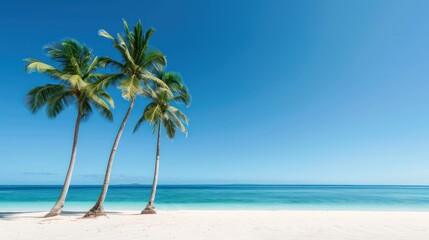 Medical clinic hallway with exam rooms and healthcare professionals.