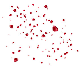 Red rose and cherry blossom falling Elements for Valentine's Day, Mother's Day, March 8. sakura petals on fake transparent background, isolated