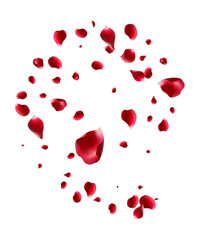Red rose and cherry blossom falling Elements for Valentine's Day, Mother's Day, March 8. sakura petals on fake transparent background, isolated