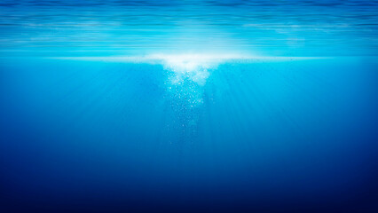 Obraz premium underwater world wide angle