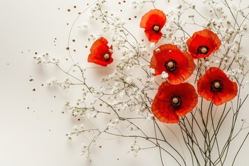 Red poppies and gypsophila arrangement on a white background