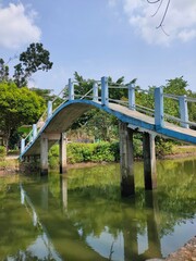 Arched Concrete Bridge Over Calm Water in Green Park, Outdoor Scene