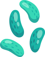 Lactobacillus Bacterium Illustration

