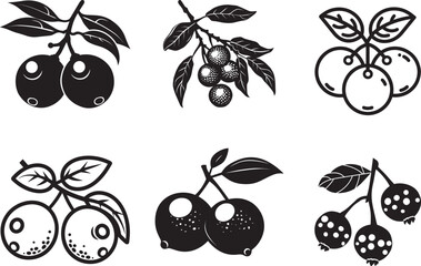 Set of Longan Fruit icon clean simple silhouette