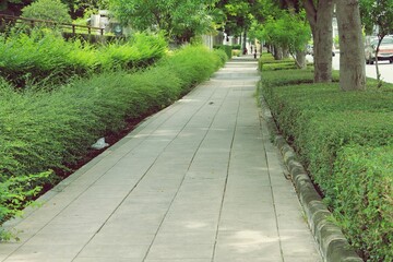 Concrete block sidewalk and tree bush along way, perspective view background