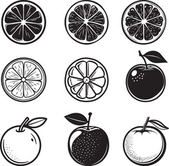 Collection of Orange Fruit Slices icon clean simple