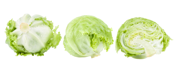 Iceberg lettuce isolated on transparent png (Image from camera)