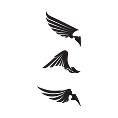 Obraz premium Black wing logo symbol for a professional designer