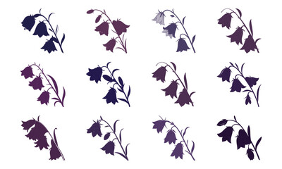 Bundle Bellflower Hanging Bloom Flat Purple Tone Botan (5) 31 Bellflower Hanging Bl