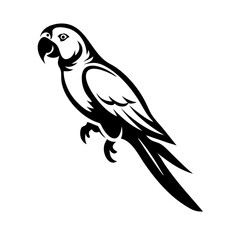 Modern flat icon of a parrot bird with vivid plumage, ideal for travel, nature, or exotic themes.