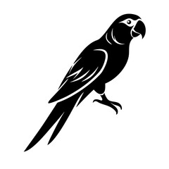 Parrot icon in flat design, editable vector format for use in apps, infographics, or flyers.