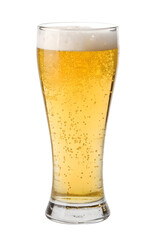 Refreshing light beer in a glass isolated on transparent background