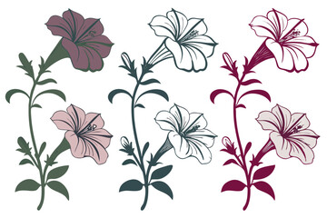 set of Petunia vector silhouette illustration isolated on white background