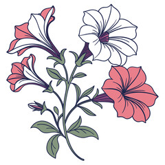 Petunia vector silhouette illustration isolated on white background