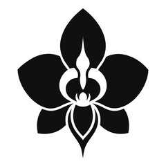 Orchid vector silhouette illustration isolated on white background