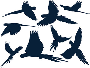 parrot flying icon vector set, sleek black silhouette collection  for use in eco, wildlife, or tropical designs.