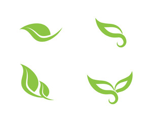 Tree leaf vector logo design, eco-friendly concept.