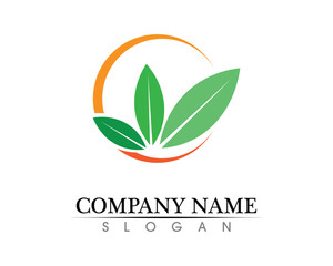 Tree leaf vector logo design, eco-friendly concept.