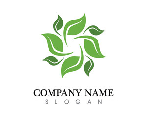 Tree leaf vector logo design, eco-friendly concept.