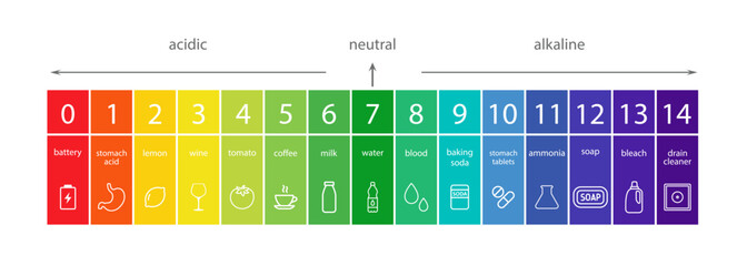 PH Scale. Acid and alkaline indicator. Chemical analysis or test. Education Poster. Vector illustration in flat style.