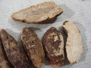 Cyperi Rhizoma (Xiangfu) Dried Nutgrass Rhizomes Used in Korean Herbal Medicine
