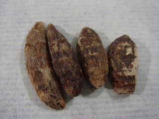 Cyperi Rhizoma (Xiangfu) Dried Nutgrass Rhizomes Used in Korean Herbal Medicine