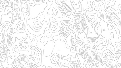 Abstract wavy background topographic contour background, contour lines background. Topographic map contour background.
