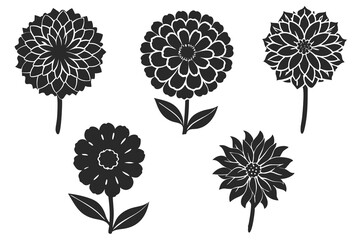 set of Marigold vector silhouette illustration isolated on white background