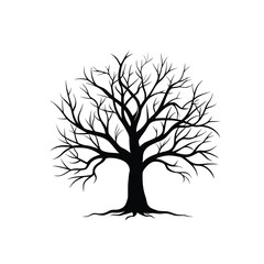 Obraz premium Black Leafless Tree Drawing – Isolated on White Background
