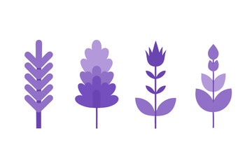 set of Lavender vector silhouette illustration isolated on white background