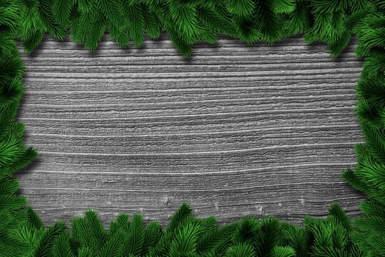 Fototapeta Fir tree branches over planks