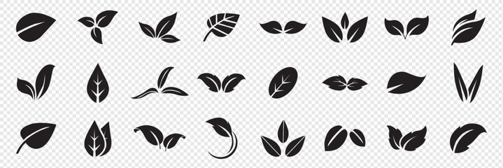 Set of leaf icons. Leaves icon. Leaves of trees and plants. Collection green leaf. Elements design for natural, eco, bio, vegan labels. Vector illustration.