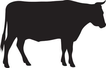 Cow silhouette 
