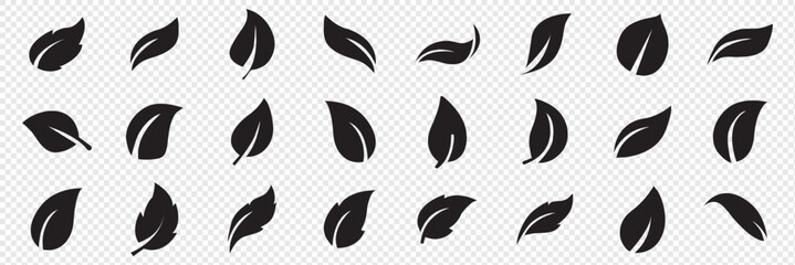 Set of leaf icons. Leaves icon. Leaves of trees and plants. Collection green leaf. Elements design for natural, eco, bio, vegan labels. Vector illustration.