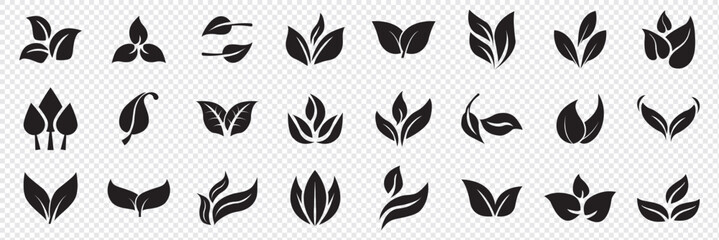 Set of leaf icons. Leaves icon. Leaves of trees and plants. Collection green leaf. Elements design for natural, eco, bio, vegan labels. Vector illustration.
