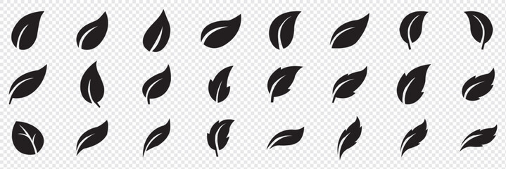 Leaf icons set, tropical leaves set, palm leaves silhouettes isolated, green leafs, environment and nature eco sign