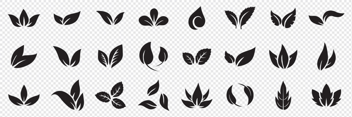 Leaf icons set, tropical leaves set, palm leaves silhouettes isolated, green leafs, environment and nature eco sign
