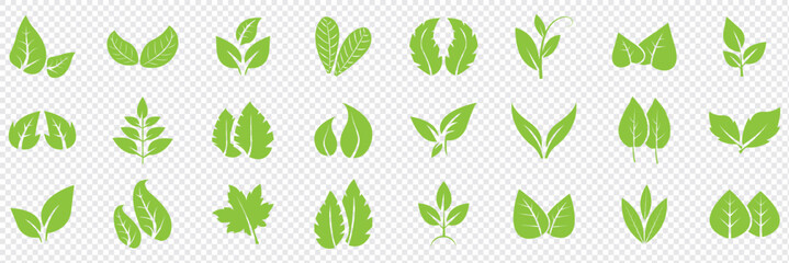 Green leaf icons set. Leaves icon on isolated background. Collection green leaf. Elements design for natural, eco, vegan, bio labels. Vector illustration EPS 10